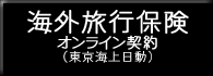 �C�O���s�ی��I�����C���_��